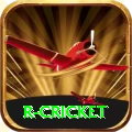 r cricket Plus v2.9.2