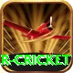 r cricket Plus v2.9.2