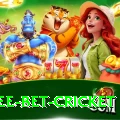 risk free bet cricket Ultimate v2.7.0