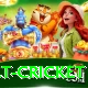 risk free bet cricket Ultimate v2.7.0