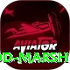 rod marsh Max Pro v2.0.8