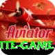roulette game Pro Edition v2.9.6