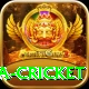 sa cricket Turbo v3.4.4