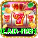 snake head fish Gold Edition v2.5.6