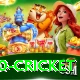 t20 cricket Deluxe v2.4.4