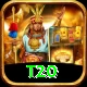 t20 Turbo Pro v3.9.9