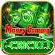 test cricket Plus Pro v4.2.3