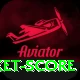 test cricket score VIP v1.9.5