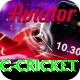 uc cricket Pro1 v1.7.4