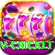 v cricket Max Pro v4.7.4
