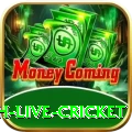watch live cricket VIP Pro v1.0.7