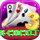 west indies cricket Turbo v3.2.4