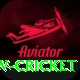 willow cricket App