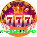 willow cricket Slots Super v1.4.1